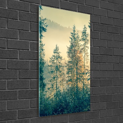 Vertikálny foto obraz akryl do obývačky Hmla nad lesom