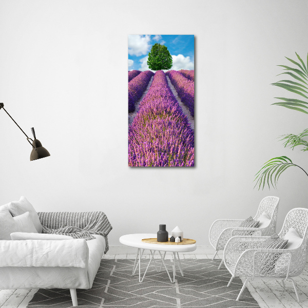 Vertikálny moderný akrylový fotoobraz Pole levanduľa