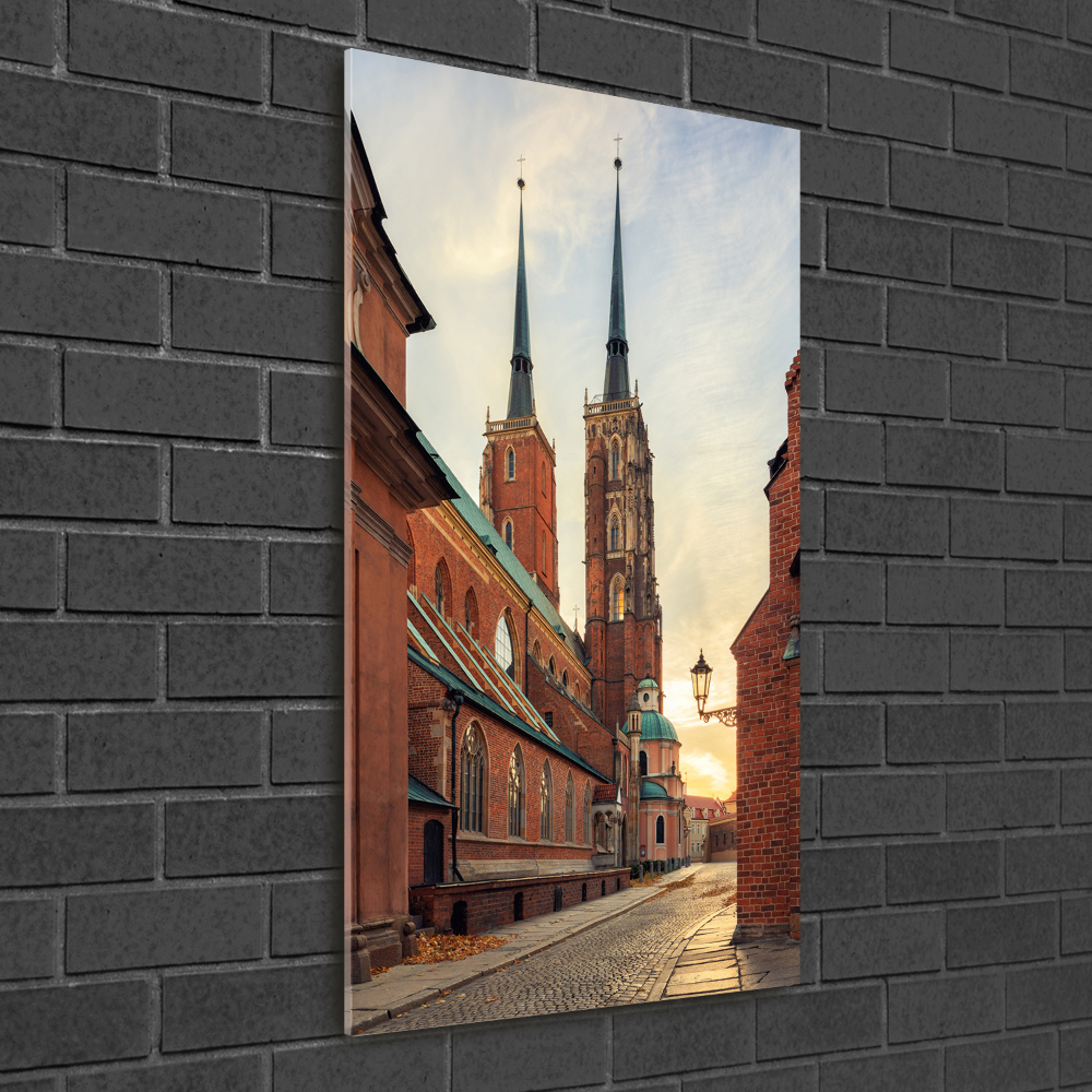 Vertikálny foto obraz akryl do obývačky Vratislav Poľsko