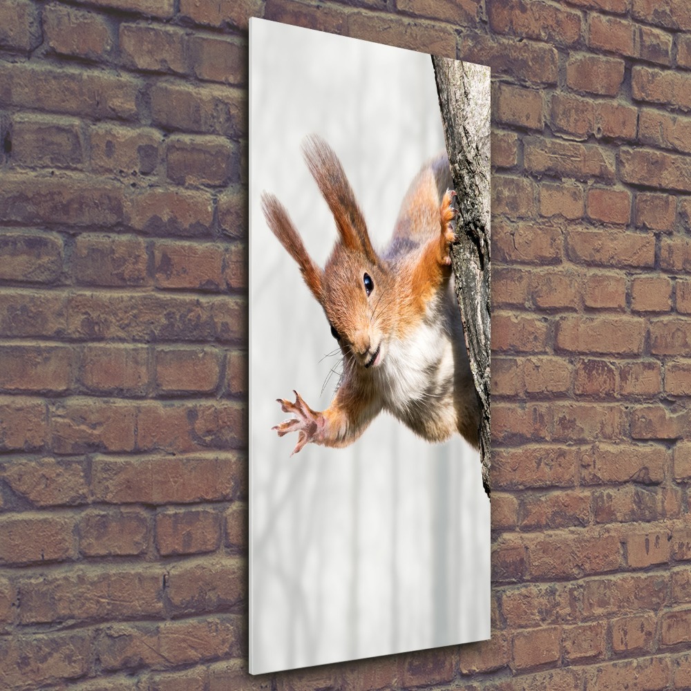 Vertikálny foto obraz akrylový Veverička na strome