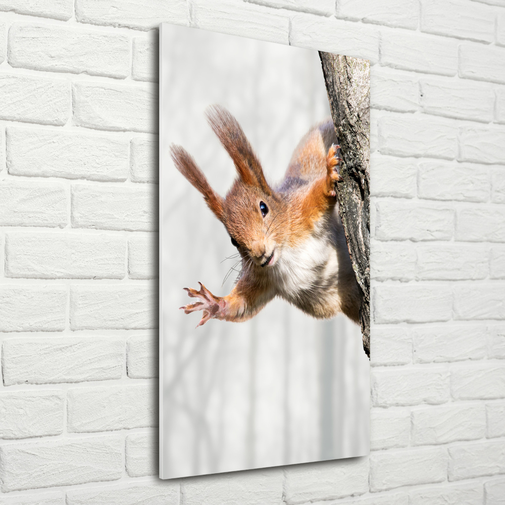 Vertikálny foto obraz akrylový Veverička na strome