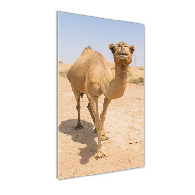 Vertikálny foto obraz akrylový Ťava na púšti