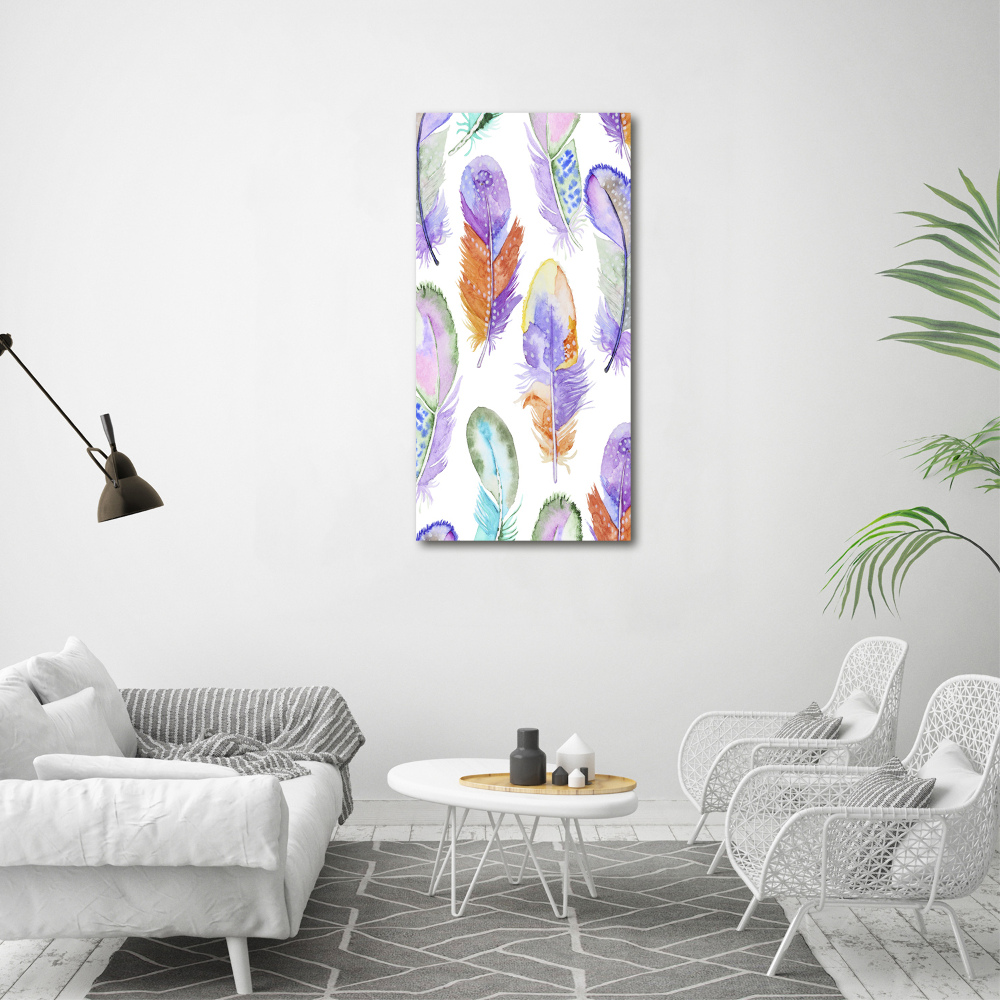 Vertikálny foto obraz akryl do obývačky Farebná pierka
