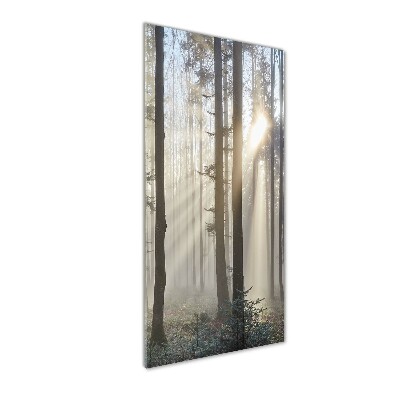 Vertikálny moderný akrylový fotoobraz Hmla v lese