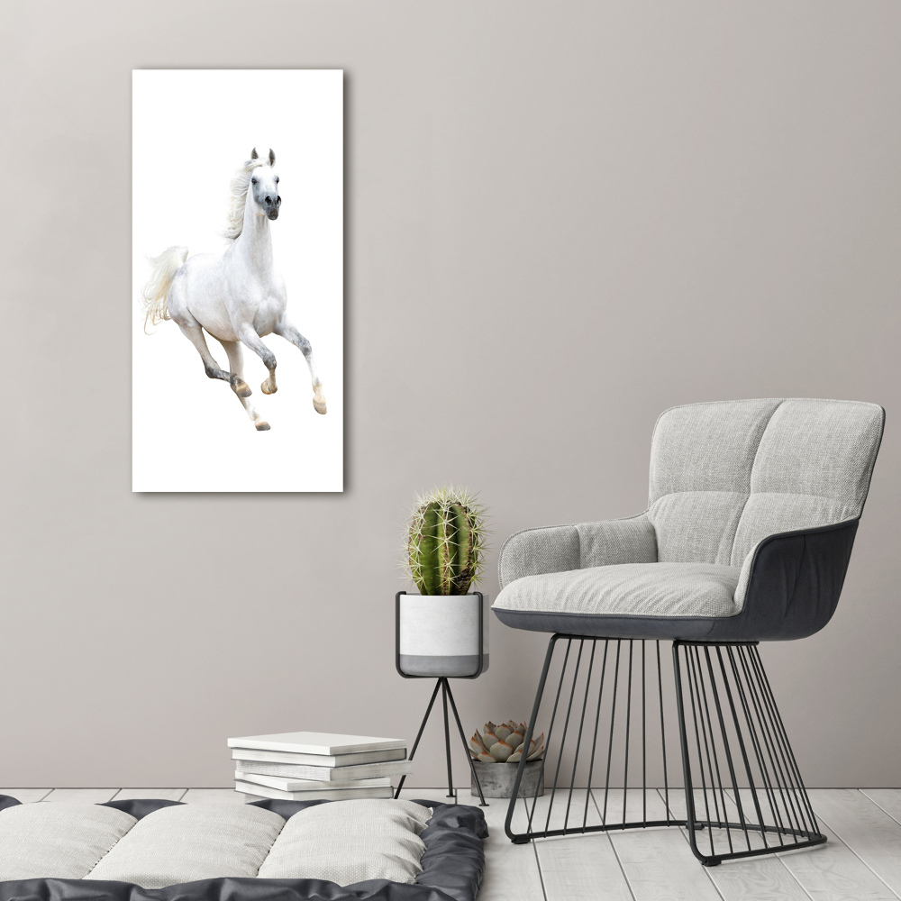 Vertikálny foto obraz akrylový Biely kôň cval