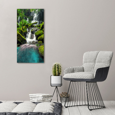 Vertikálny foto obraz akrylový Vodopád v džungli
