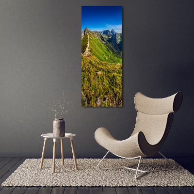 Vertikálny moderný foto-obraz akryl na stenu Tatry