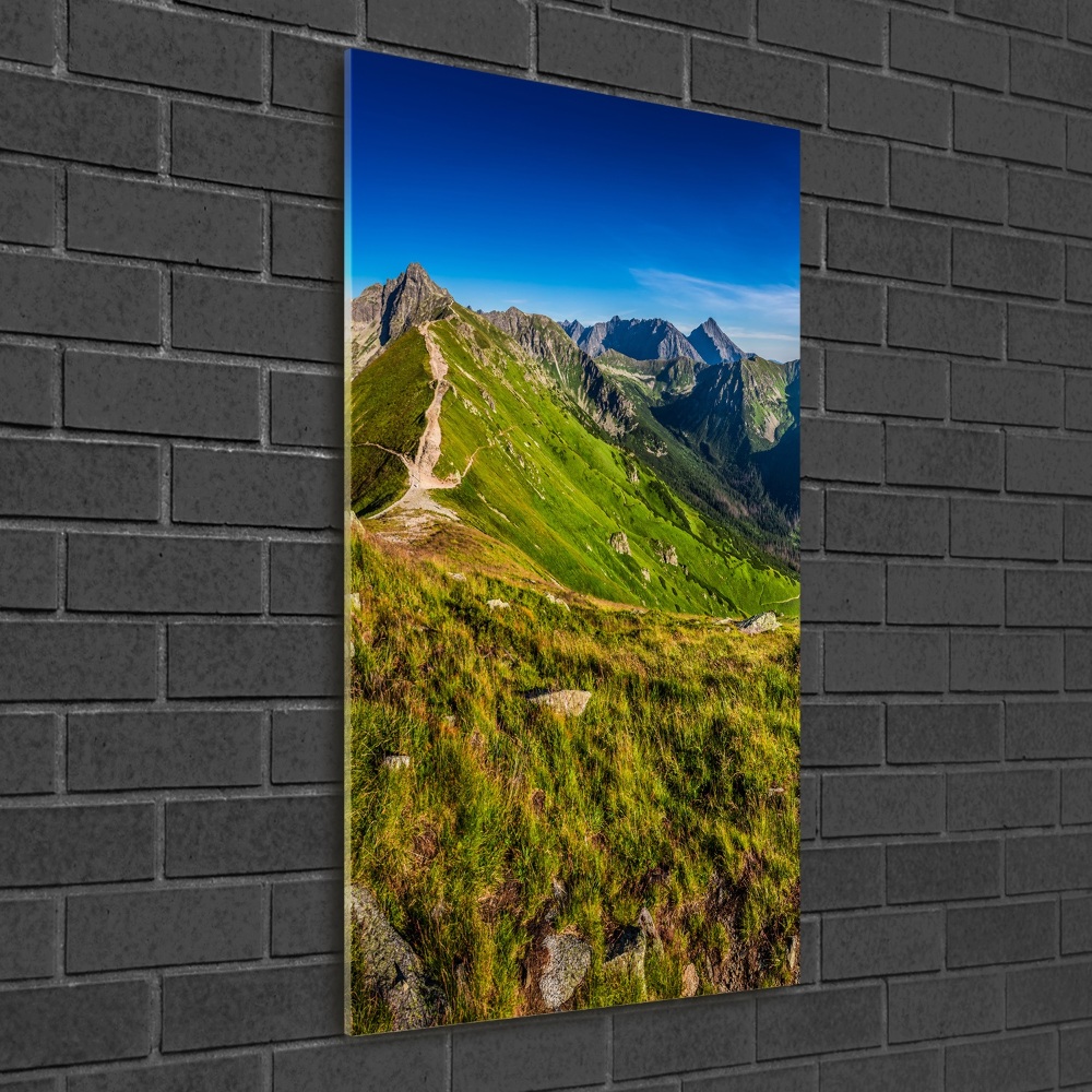 Vertikálny moderný foto-obraz akryl na stenu Tatry