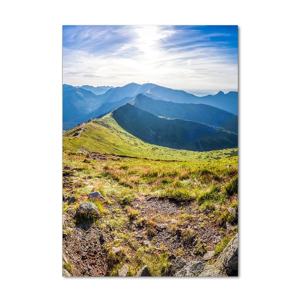 Vertikálny moderný foto-obraz akryl na stenu Tatry