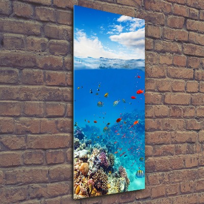 Vertikálny foto obraz akrylový do obývačky Koralový útes
