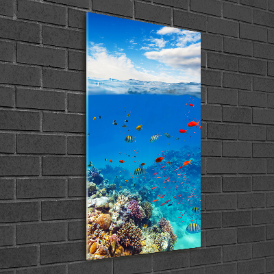 Vertikálny foto obraz akrylový do obývačky Koralový útes