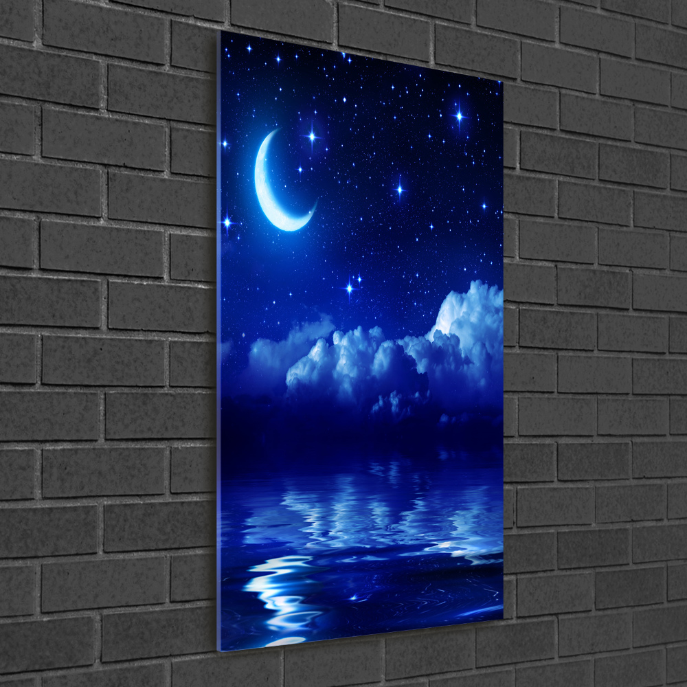 Vertikálny foto obraz akrylový na stenu Nočná obloha