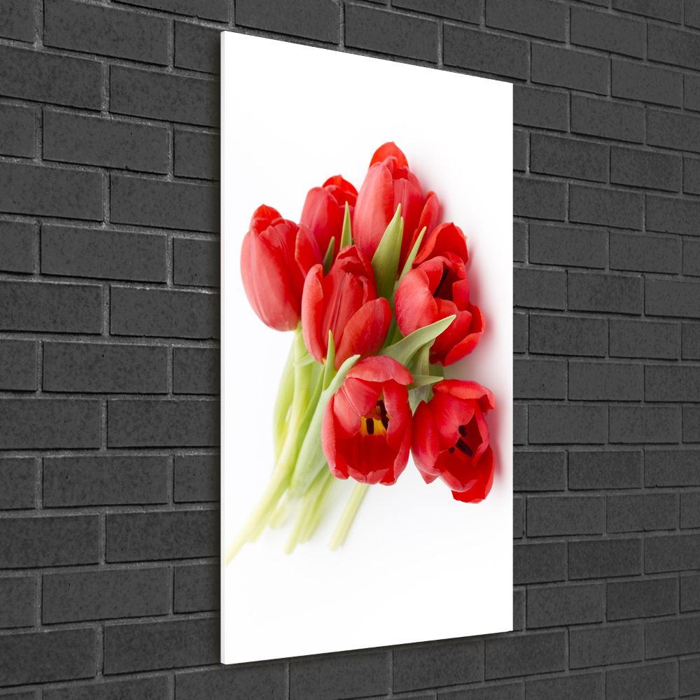Vertikálny foto obraz akrylový Červené tulipány