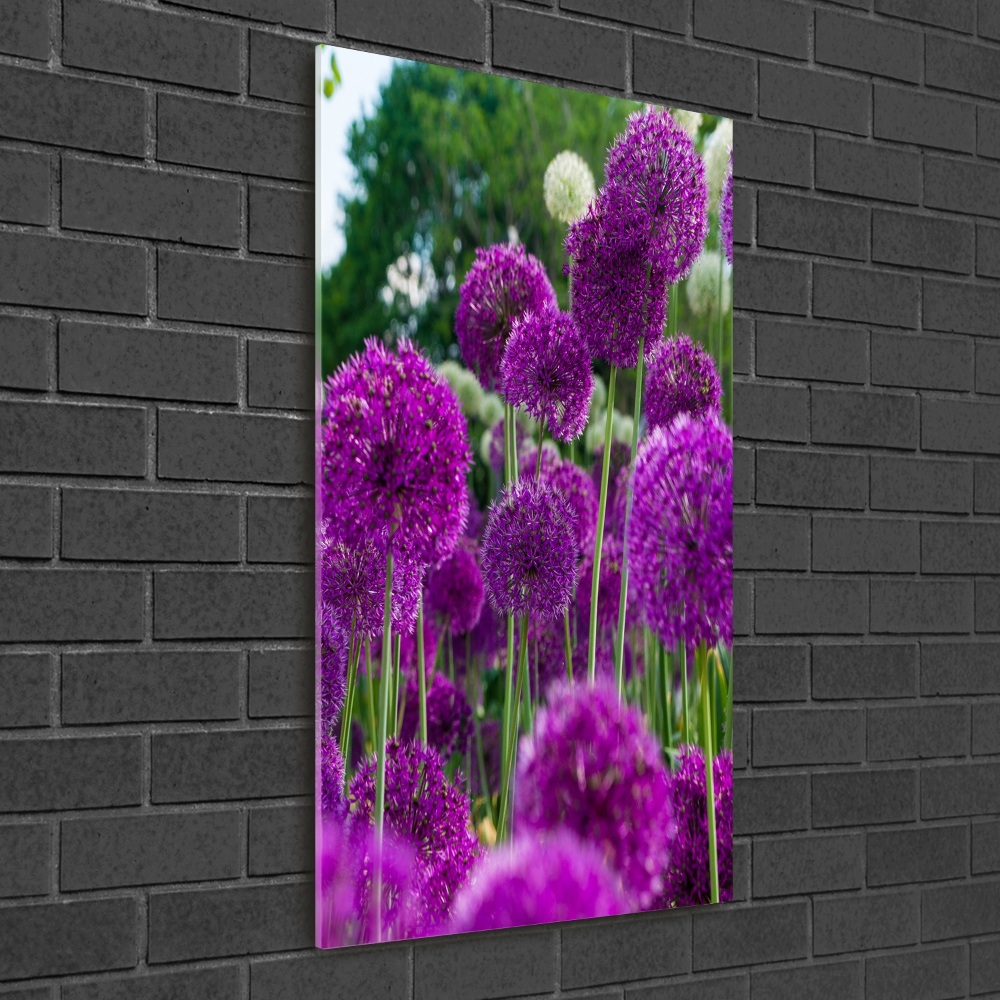 Vertikálny foto obraz akryl do obývačky Kvety cesnaku