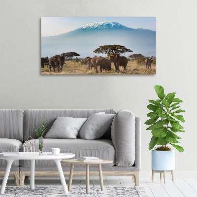 Foto obraz na plátne Slony Kilimandžáro