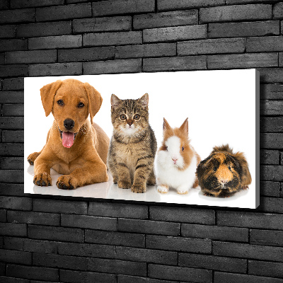 Foto obraz na plátne do obývačky Pes a mačka