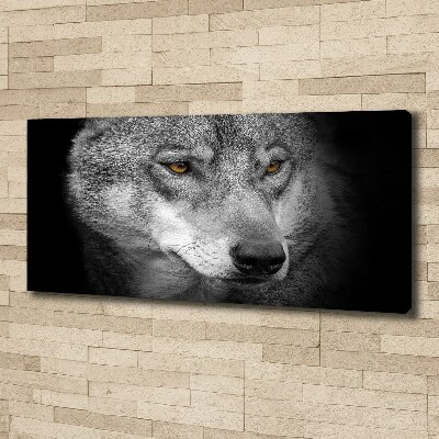 Foto obraz na plátne do obývačky Vlk