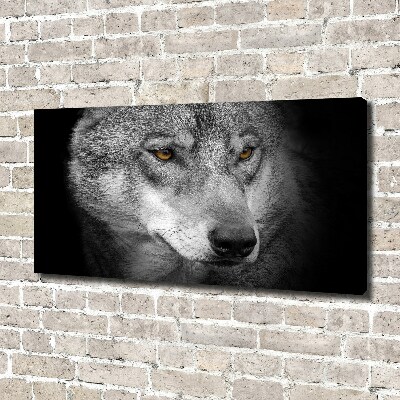 Foto obraz na plátne do obývačky Vlk