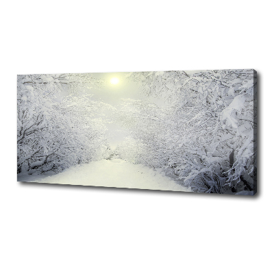 Foto obraz na plátne Pekný zimný les