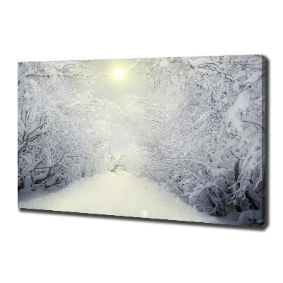 Foto obraz na plátne Pekný zimný les
