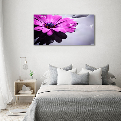 Foto obraz na plátne Gerbera