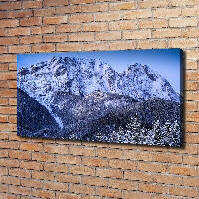 Foto obraz na plátne Gievont Tatry