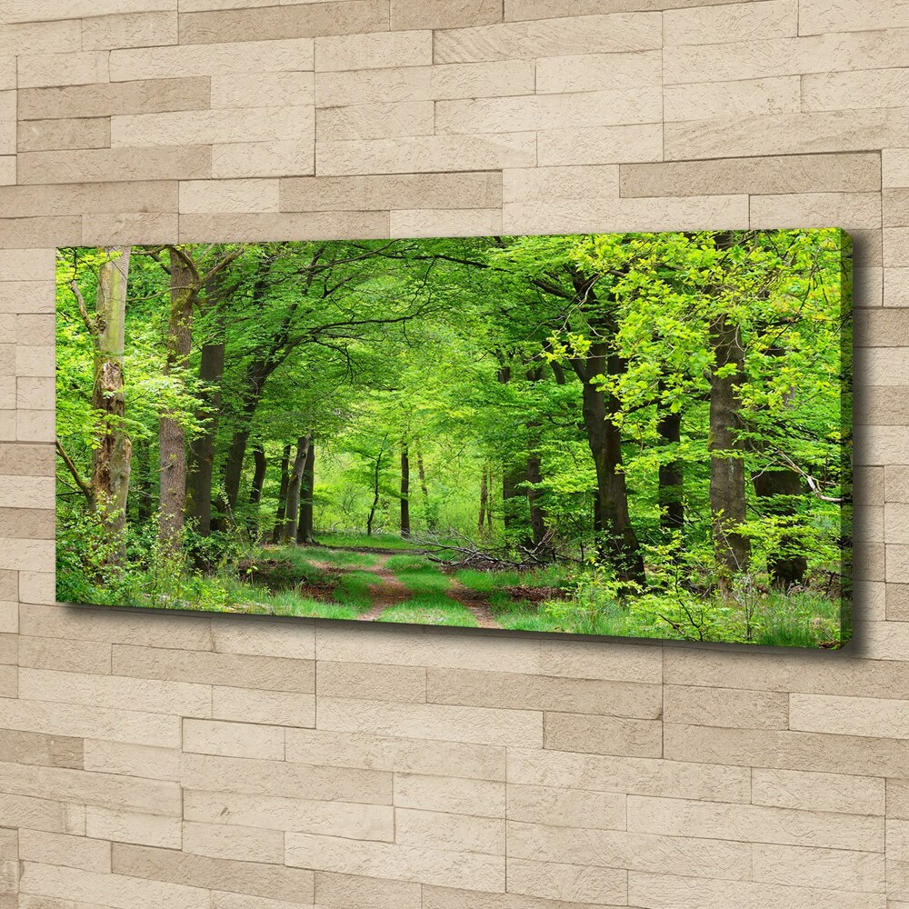 Foto obraz na plátne Jarný les