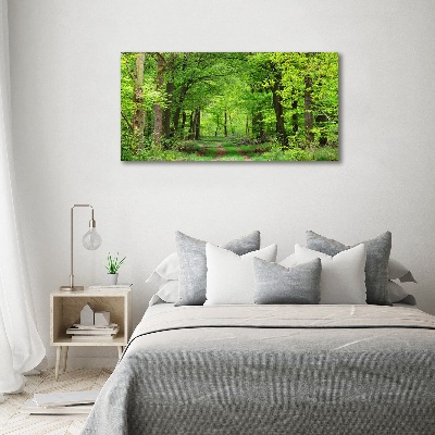Foto obraz na plátne Jarný les