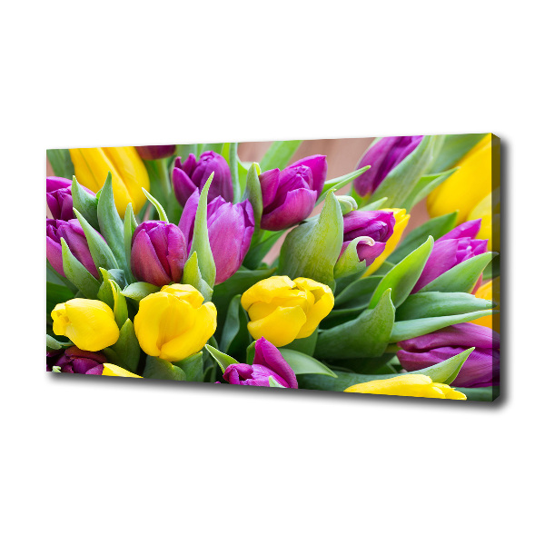 Foto obraz canvas Farebné tulipány