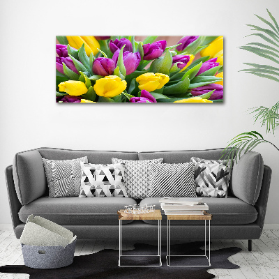 Foto obraz canvas Farebné tulipány