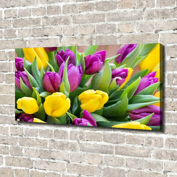 Foto obraz canvas Farebné tulipány