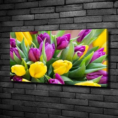 Foto obraz canvas Farebné tulipány