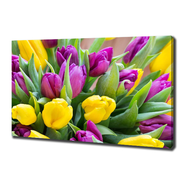 Foto obraz canvas Farebné tulipány