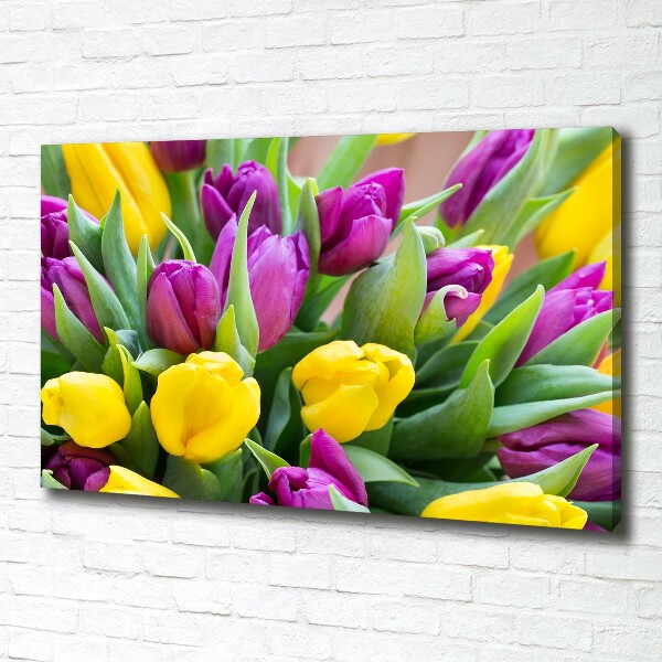 Foto obraz canvas Farebné tulipány