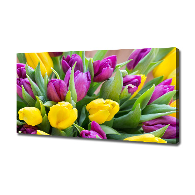 Foto obraz canvas Farebné tulipány