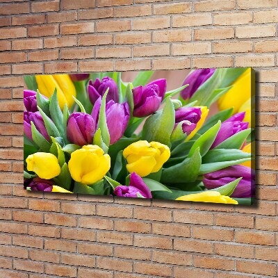 Foto obraz canvas Farebné tulipány