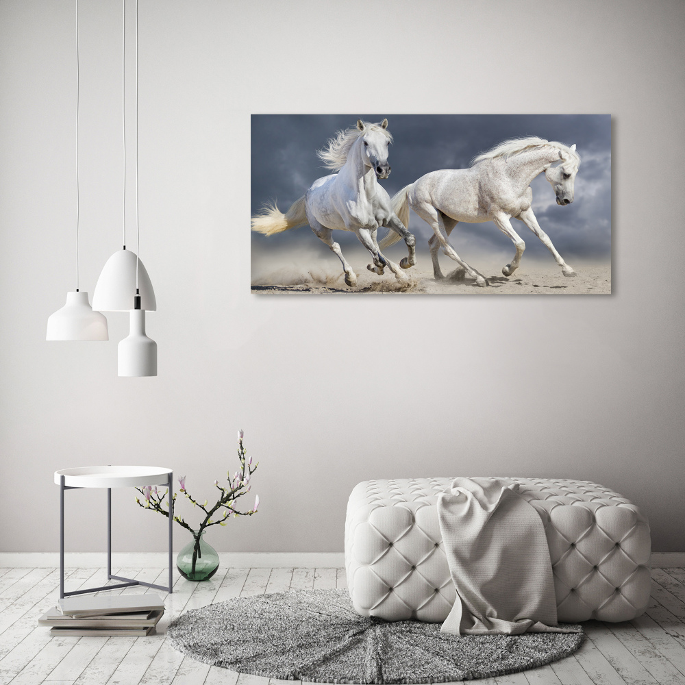 Foto obraz tlačený na plátne Biele kone pláž