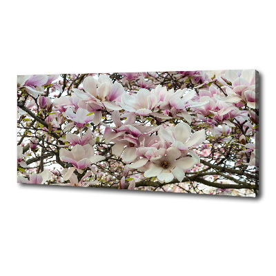 Foto-obraz canvas do obývačky Kvety magnolie