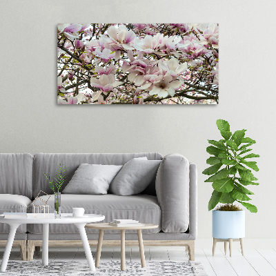 Foto-obraz canvas do obývačky Kvety magnolie