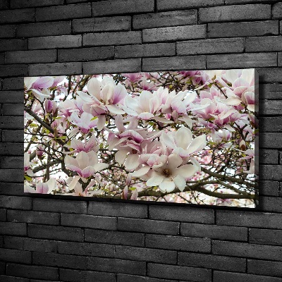 Foto-obraz canvas do obývačky Kvety magnolie