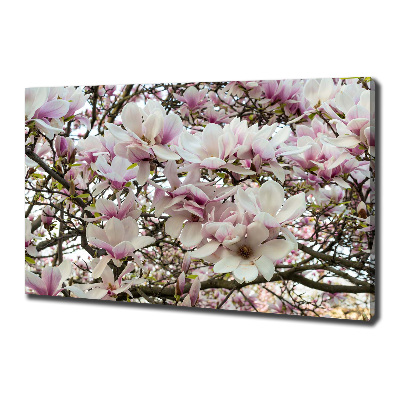 Foto-obraz canvas do obývačky Kvety magnolie