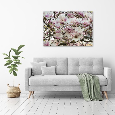 Foto-obraz canvas do obývačky Kvety magnolie