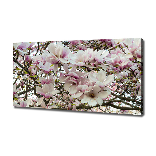 Foto-obraz canvas do obývačky Kvety magnolie