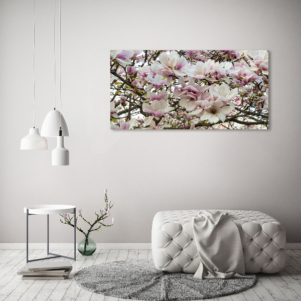 Foto-obraz canvas do obývačky Kvety magnolie