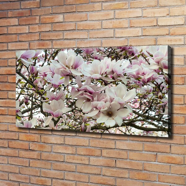 Foto-obraz canvas do obývačky Kvety magnolie