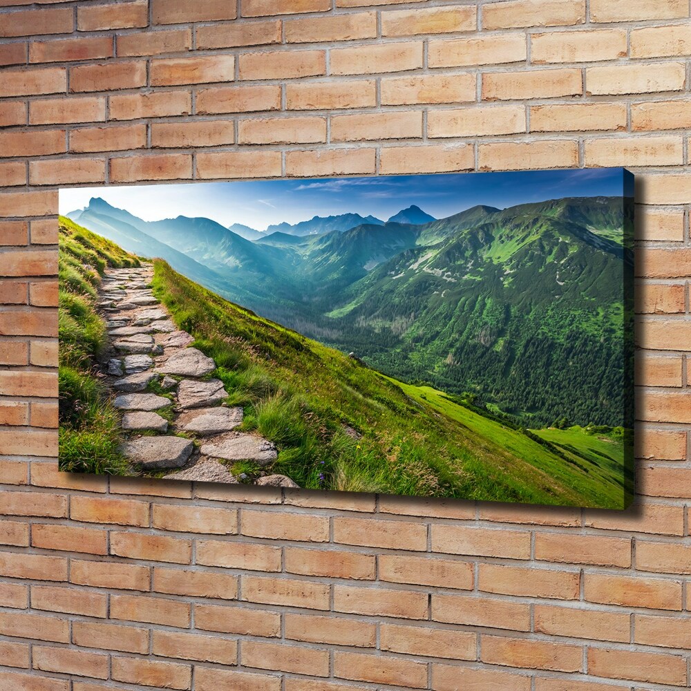 Foto obraz na plátne Chodník v Tatrách