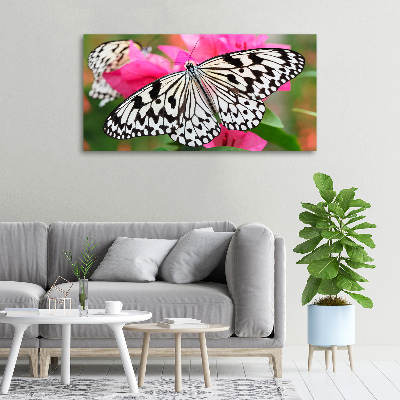 Foto obraz na plátne Motýľ na kvetine