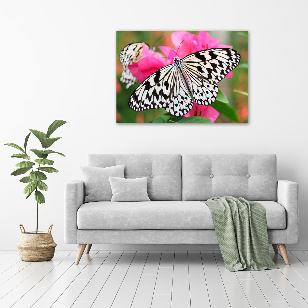 Foto obraz na plátne Motýľ na kvetine