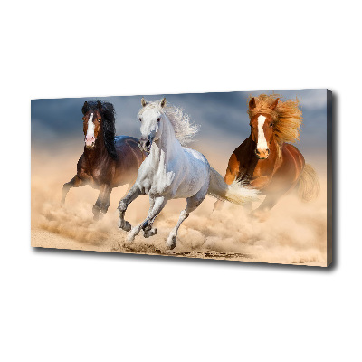 Foto obraz na plátne Kone na púšti