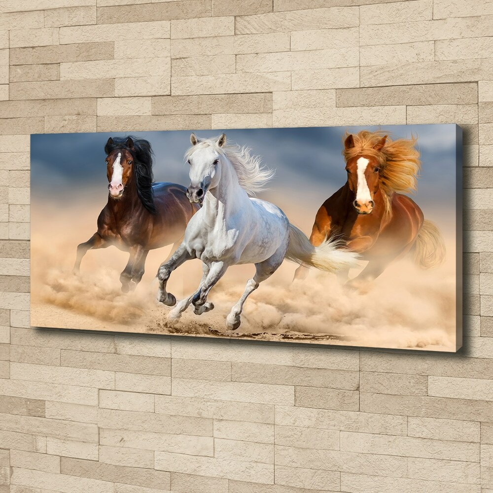 Foto obraz na plátne Kone na púšti